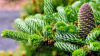450x600__2_.webp@webp